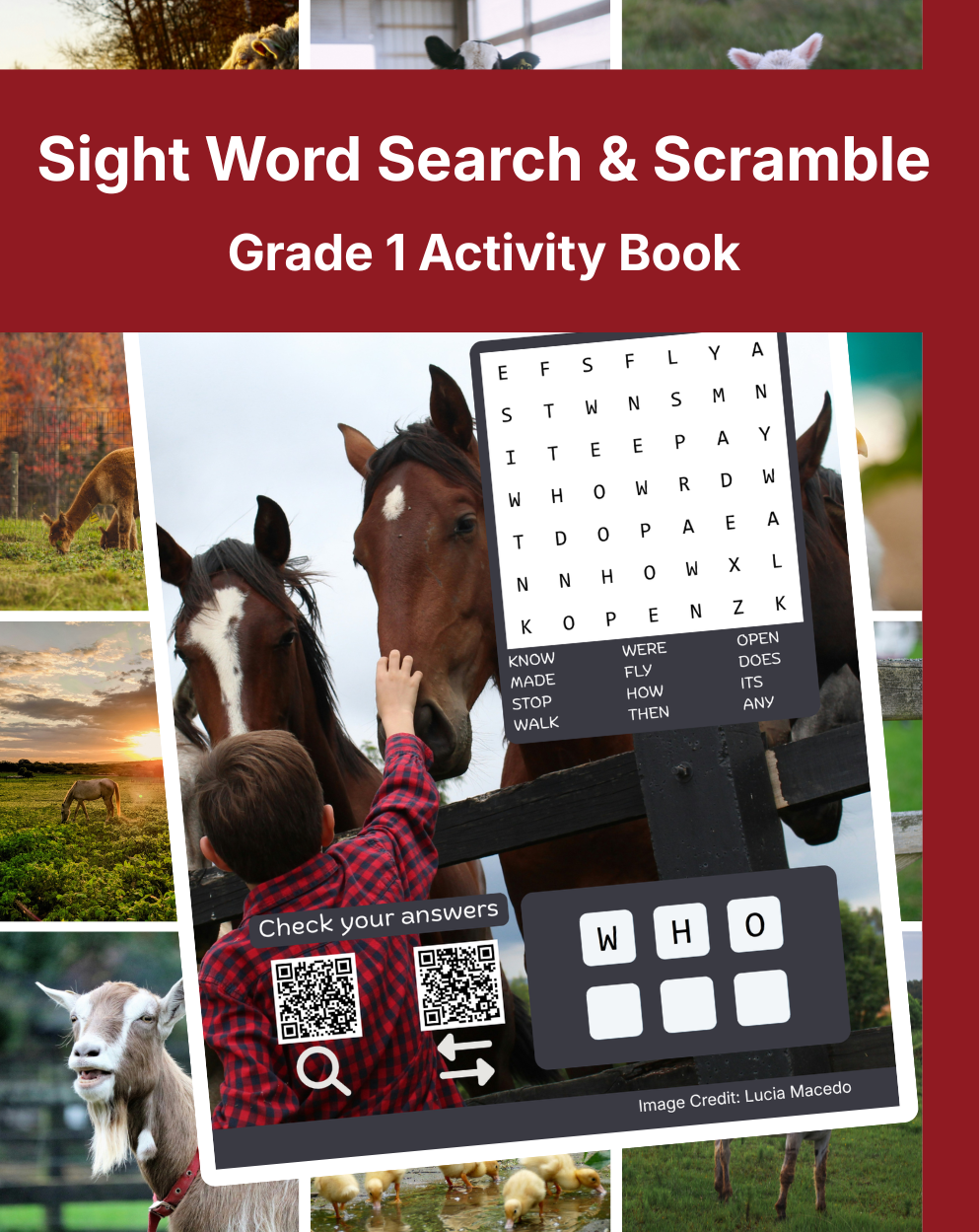 Cover of Sight Word Search & Scramble: Grade 1 Activity Book