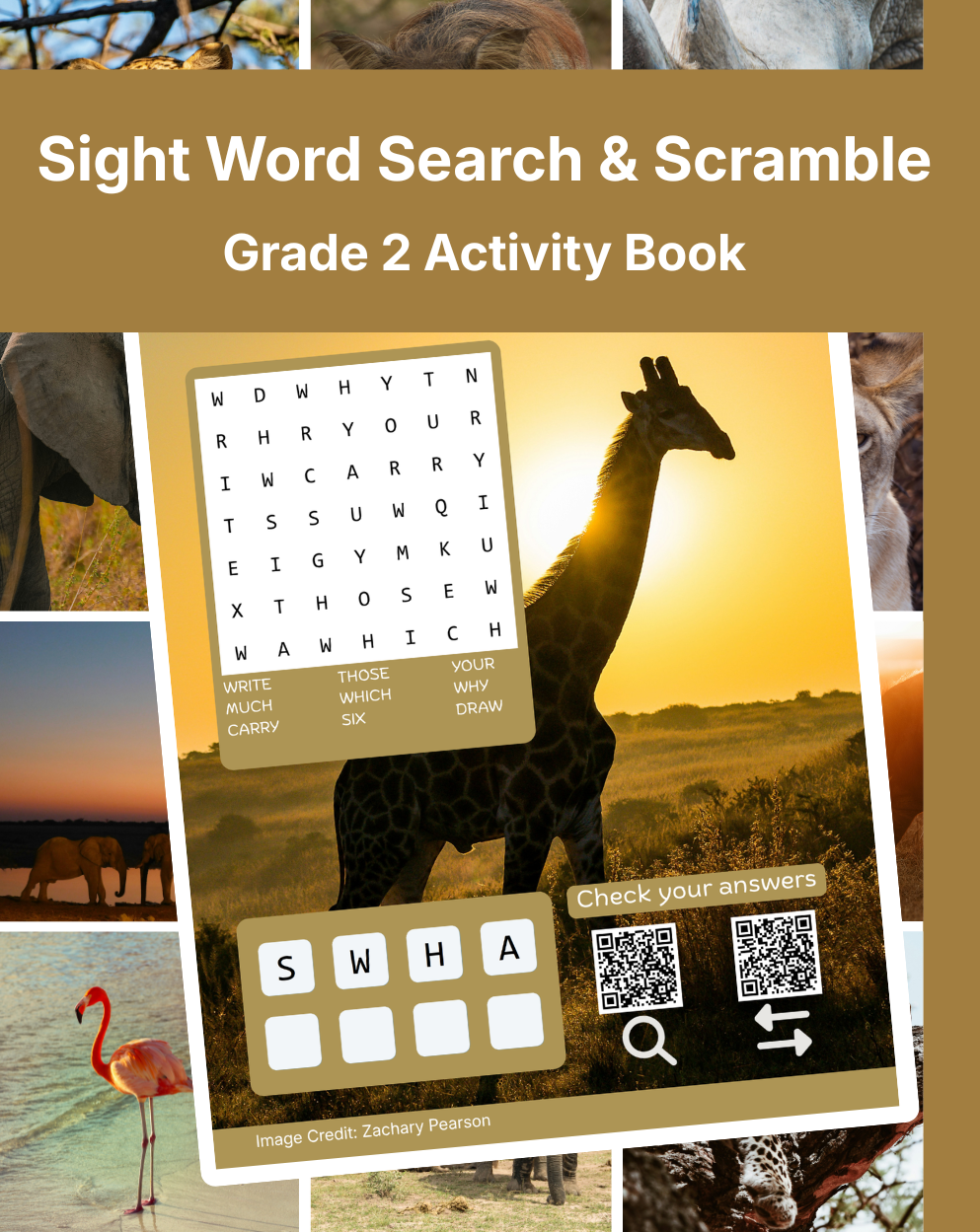Cover of Sight Word Search & Scramble: Grade 2 Activity Book