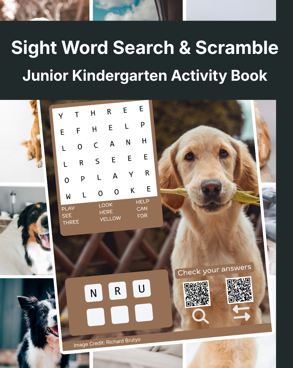 Cover of Sight Word Search & Scramble: Junior Kindergarten Activity Book