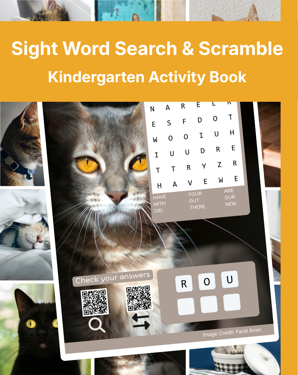 Cover of Sight Word Search & Scramble: Kindergarten Activity Book